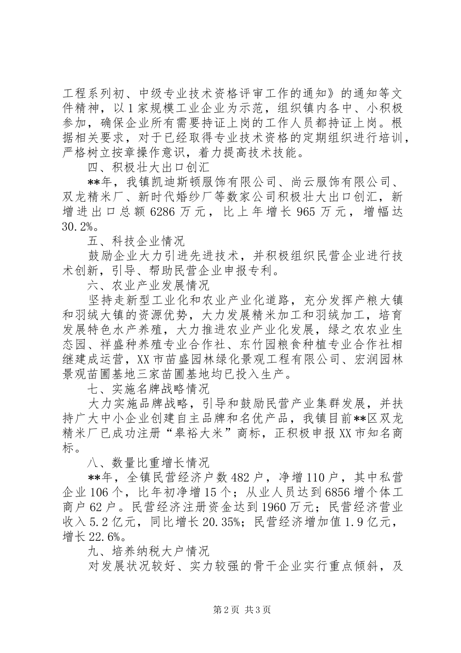 2024年民营经济发展自评报告_第2页