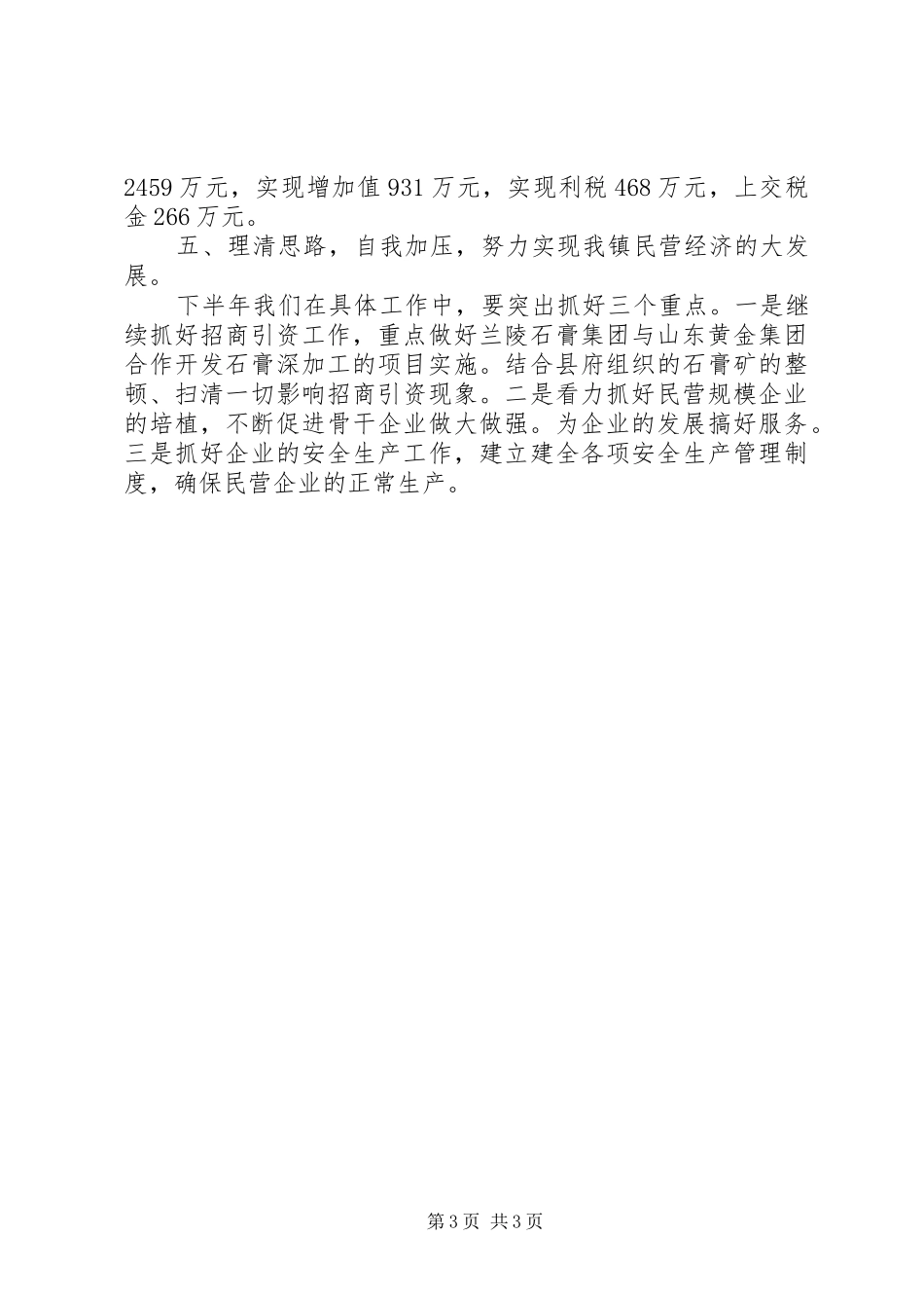 2024年民营经济基本情况汇报材料_第3页