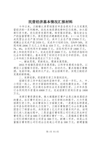 2024年民营经济基本情况汇报材料