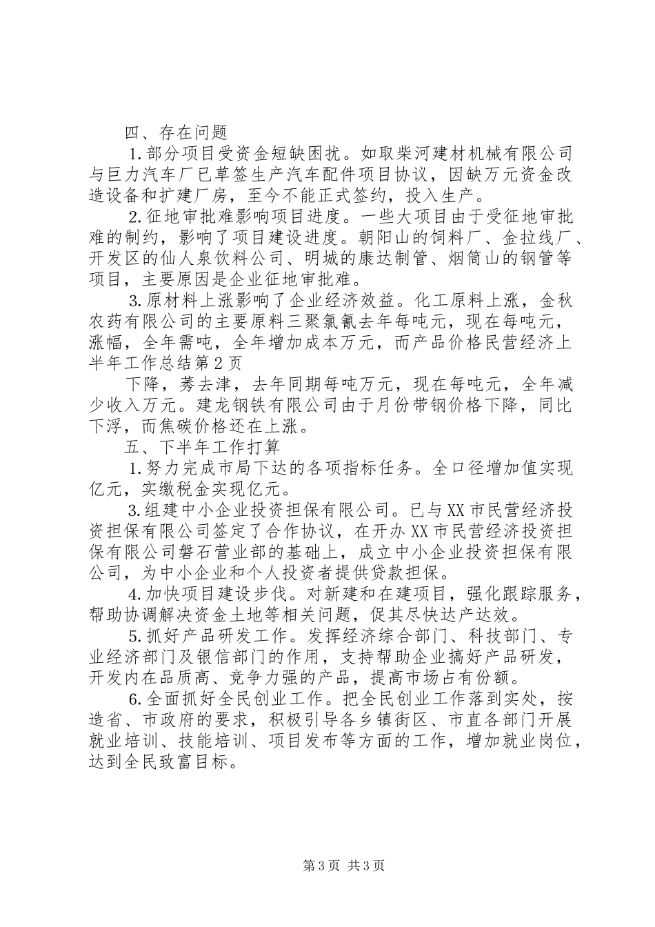 2024年民营经济上半年工作总结_第3页