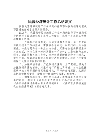 2024年民营经济统计工作总结范文