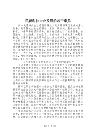 2024年民营科技企业发展的若干意见