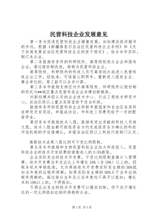 2024年民营科技企业发展意见