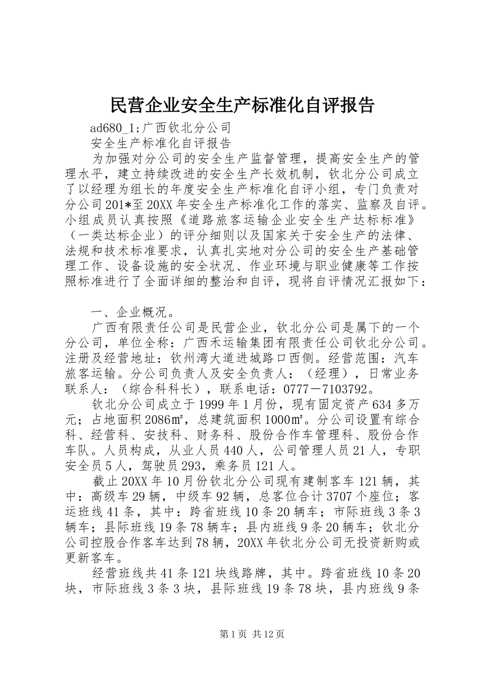 2024年民营企业安全生产标准化自评报告_第1页