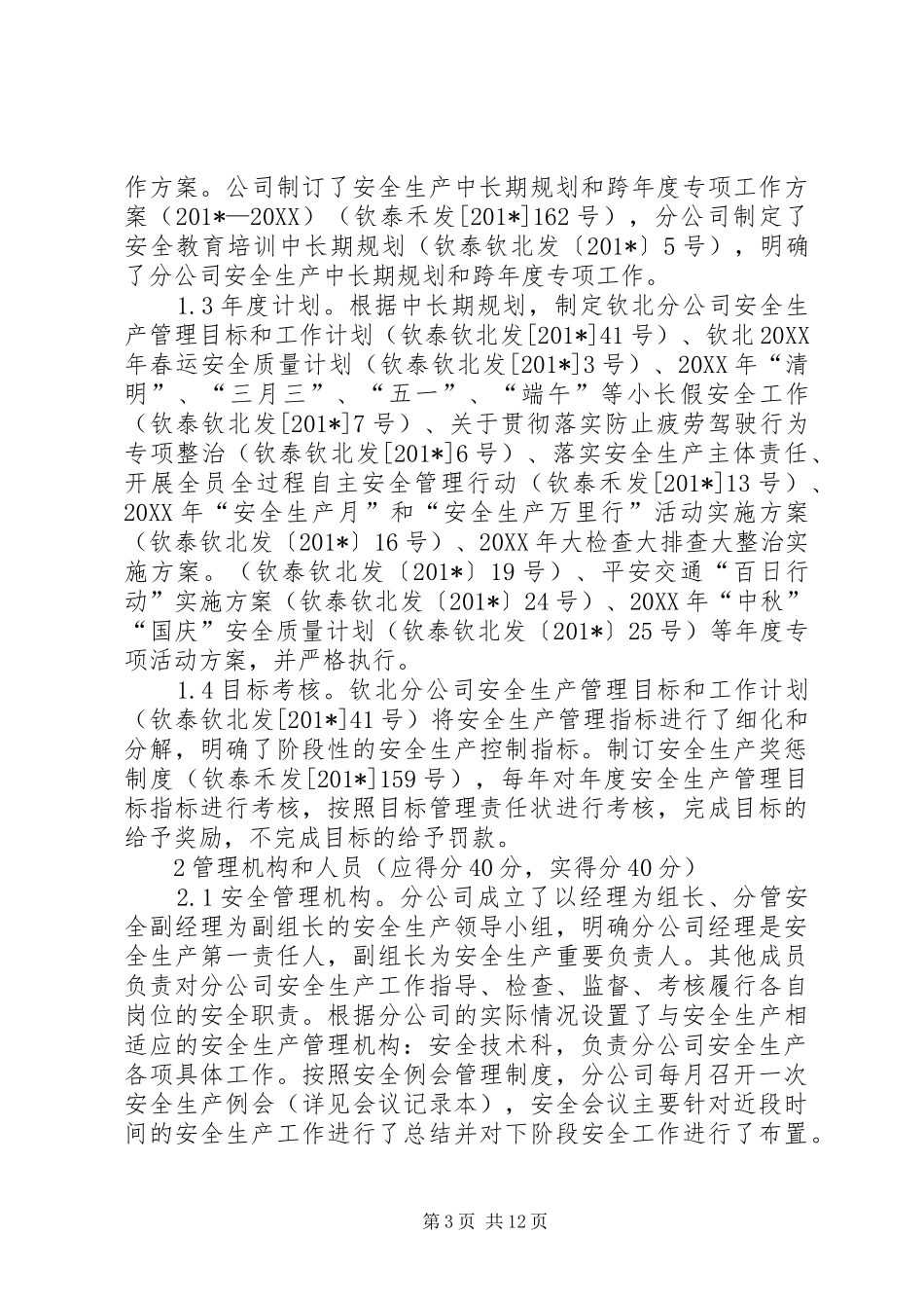 2024年民营企业安全生产标准化自评报告_第3页
