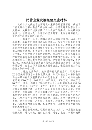2024年民营企业发展经验交流材料
