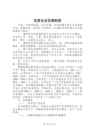 2024年民营企业发展制度