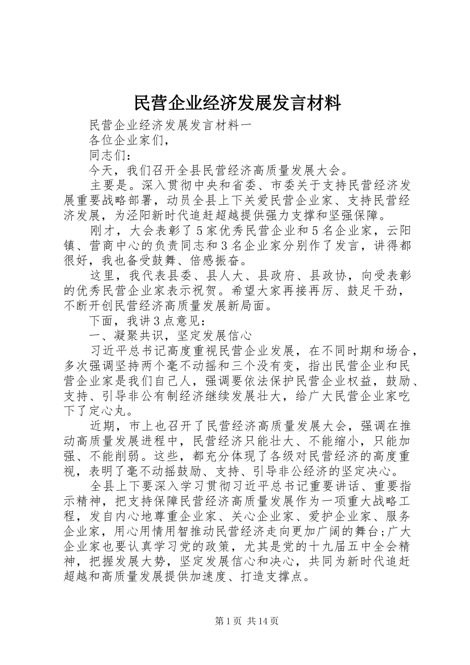 2024年民营企业经济发展讲话材料_第1页