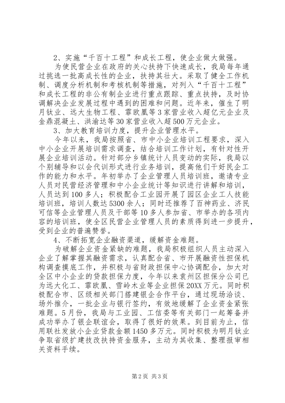 2024年民营企业局工作总结_第2页