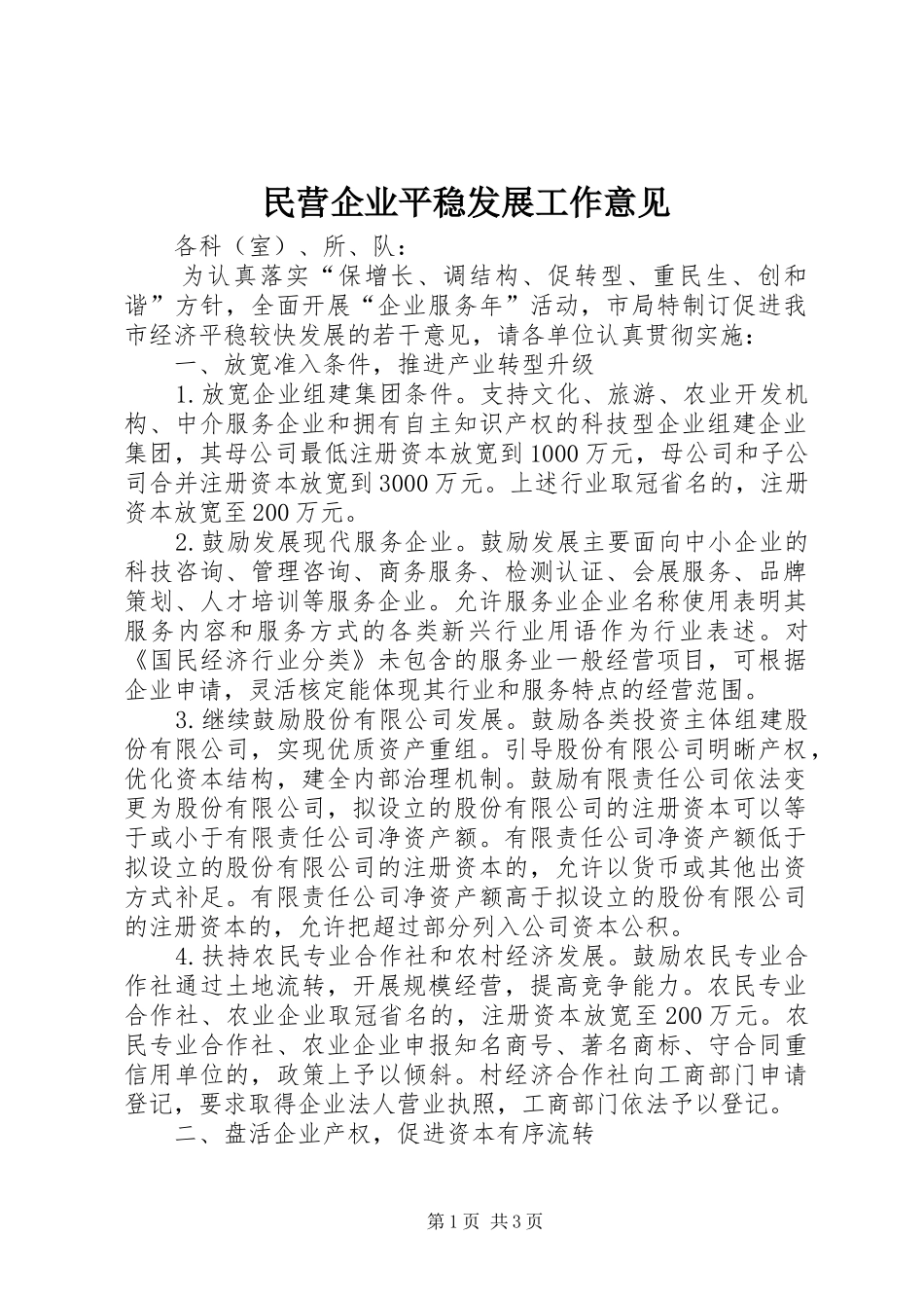 2024年民营企业平稳发展工作意见_第1页