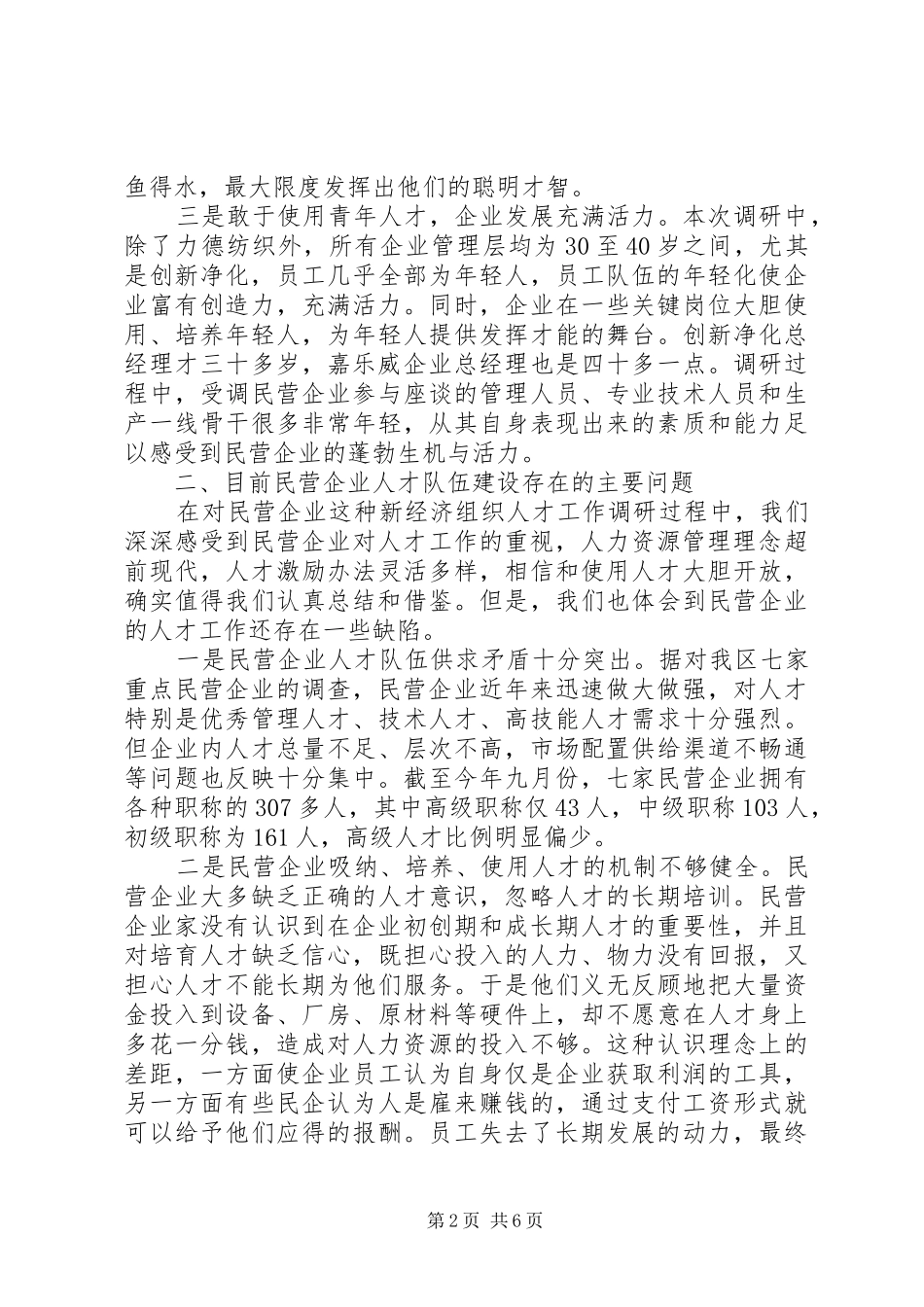 2024年民营企业人才现状对策_第2页