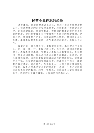 2024年民营企业任职的经验