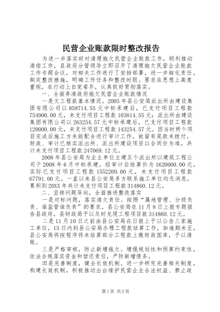 2024年民营企业账款限时整改报告