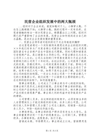 2024年民营企业组织发展中的两大瓶颈