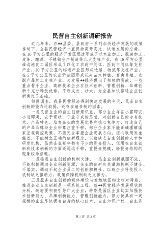 2024年民营自主创新调研报告