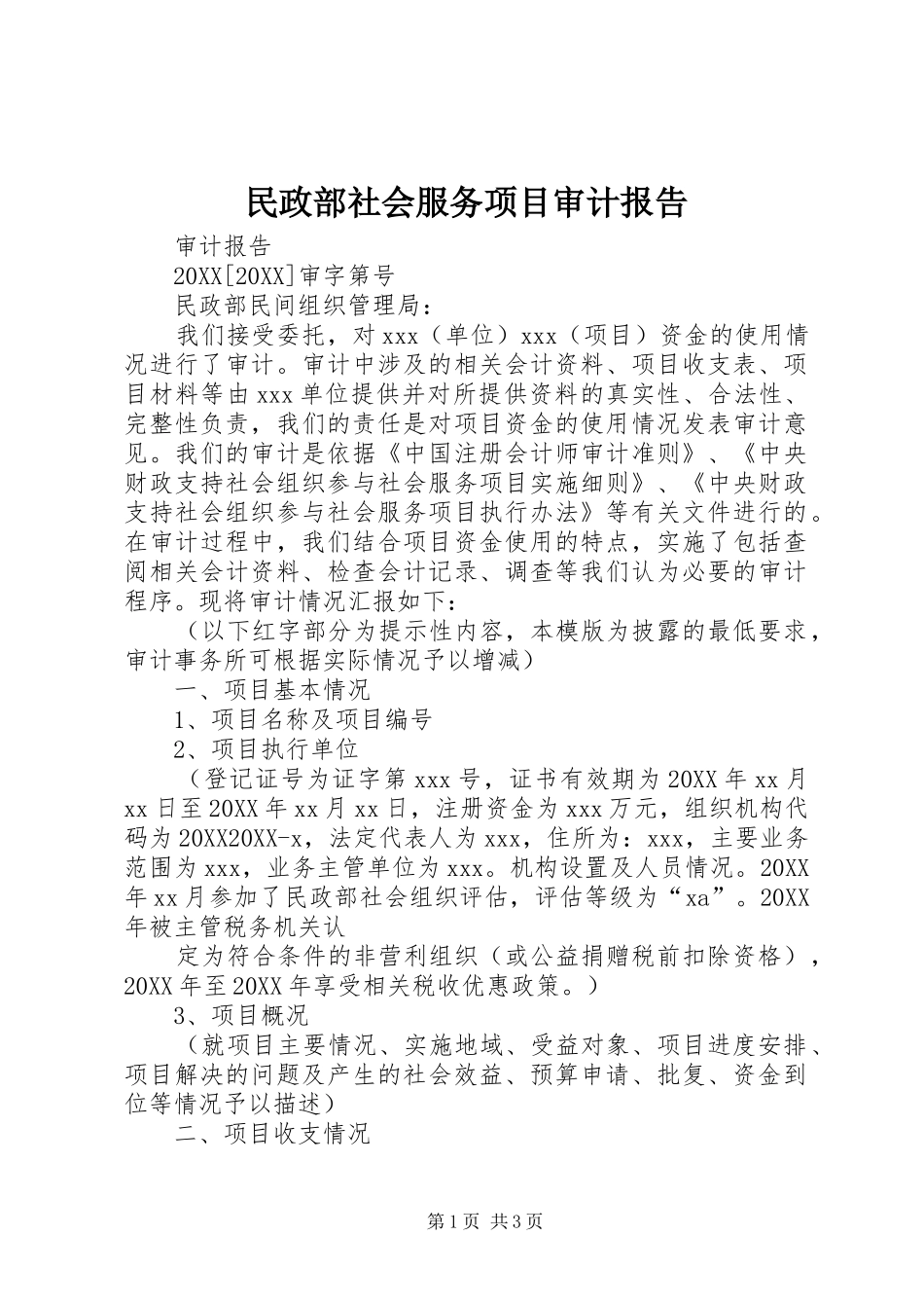 2024年民政部社会服务项目审计报告_第1页