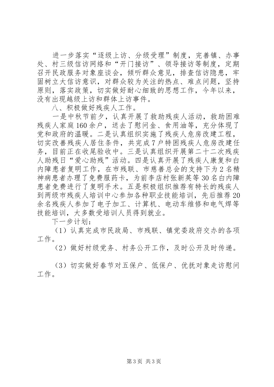 2024年民政残联工作总结_第3页