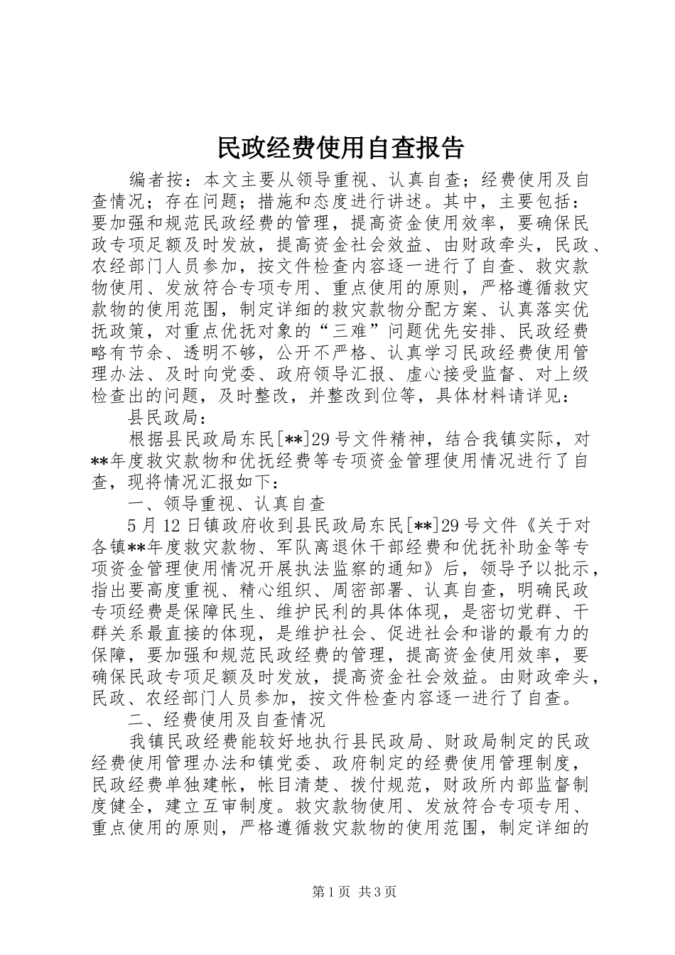 2024年民政经费使用自查报告_第1页