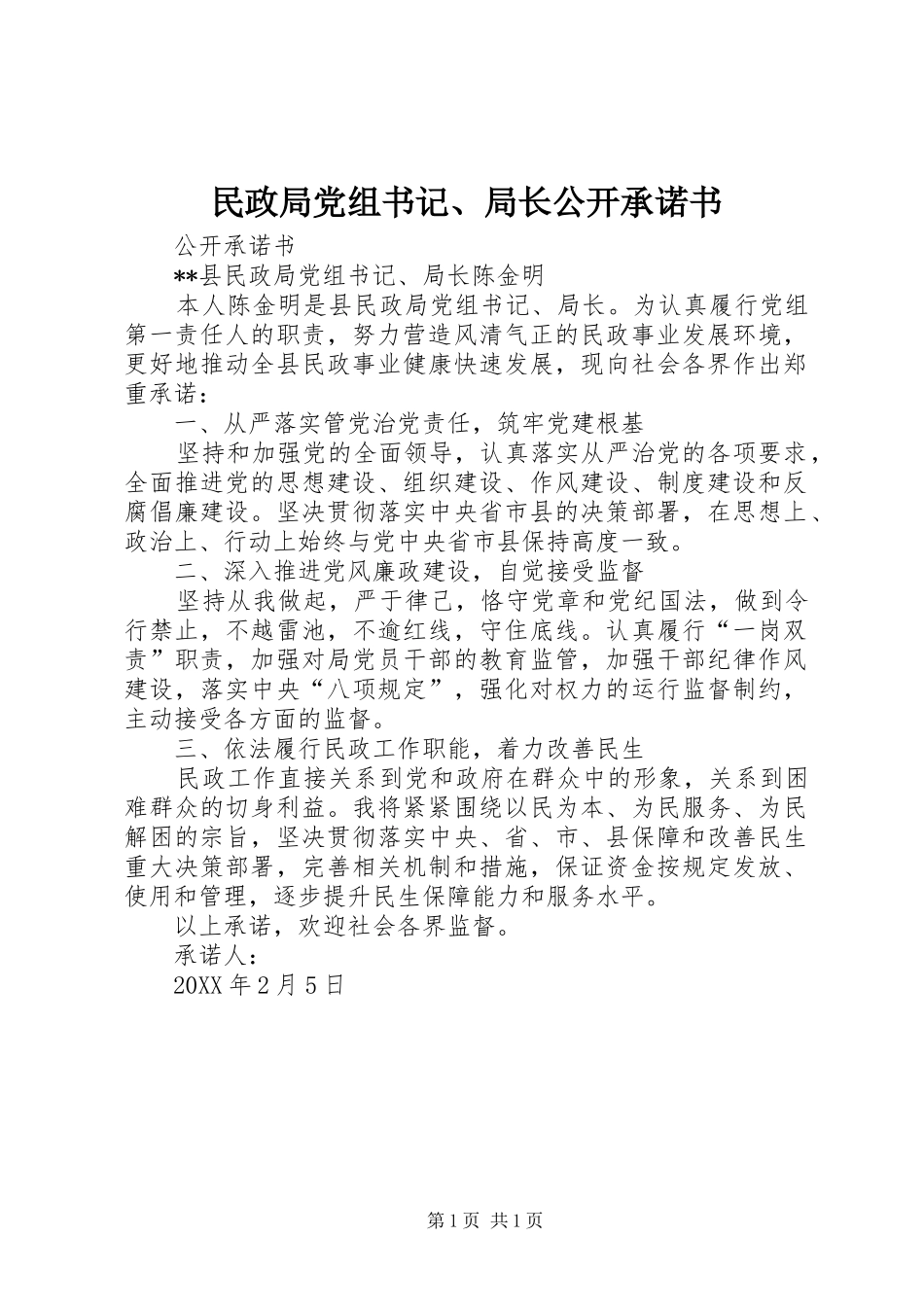 2024年民政局党组书记局长公开承诺书_第1页