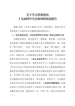 贯彻落实党的十九届四中全会精神情况报告