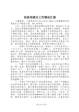 2024年民政局救灾工作情况汇报