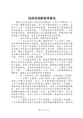 2024年民政局老龄指导意见