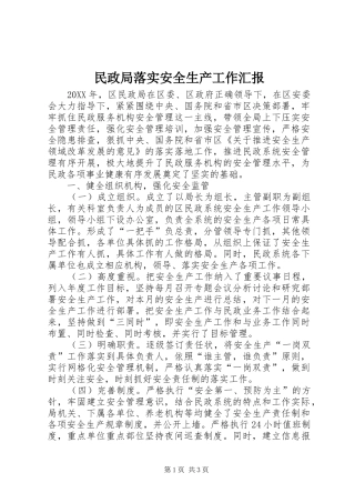 2024年民政局落实安全生产工作汇报