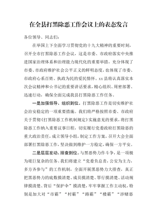 【每日范文】在全县打黑除恶工作会议上的表态发言