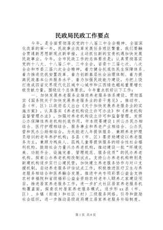 2024年民政局民政工作要点