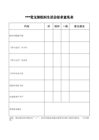 党支部领导班子征求意见表