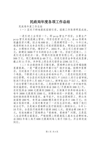 2024年民政局年度各项工作总结