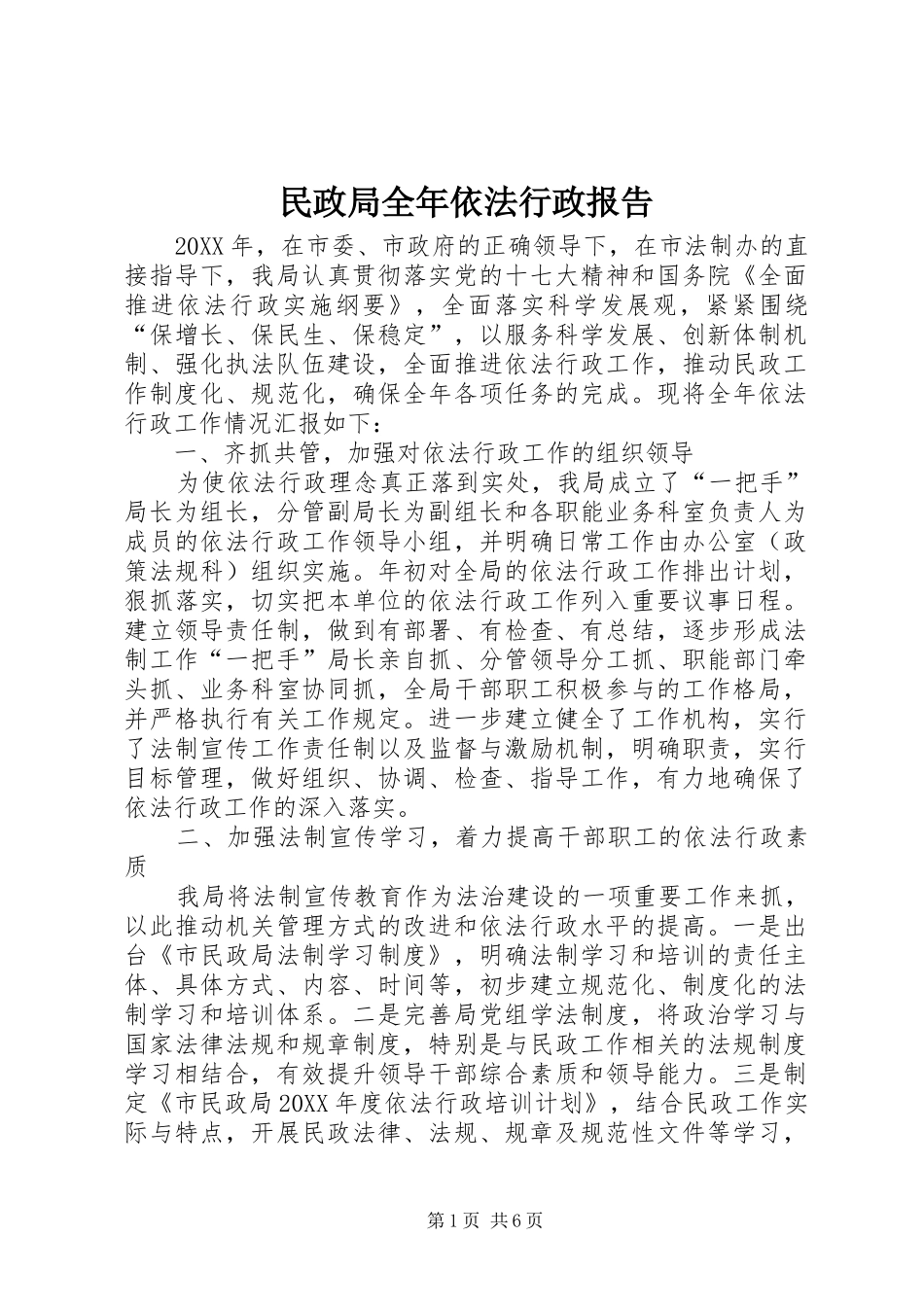 2024年民政局全年依法行政报告_第1页