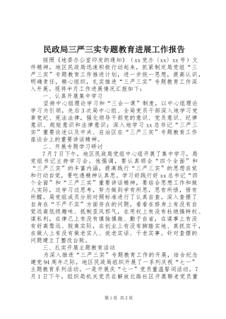 2024年民政局三严三实专题教育进展工作报告