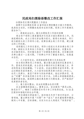 2024年民政局扫黑除恶整改工作汇报