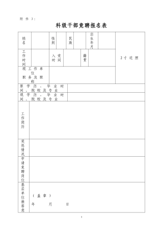 3科干竞聘报名表