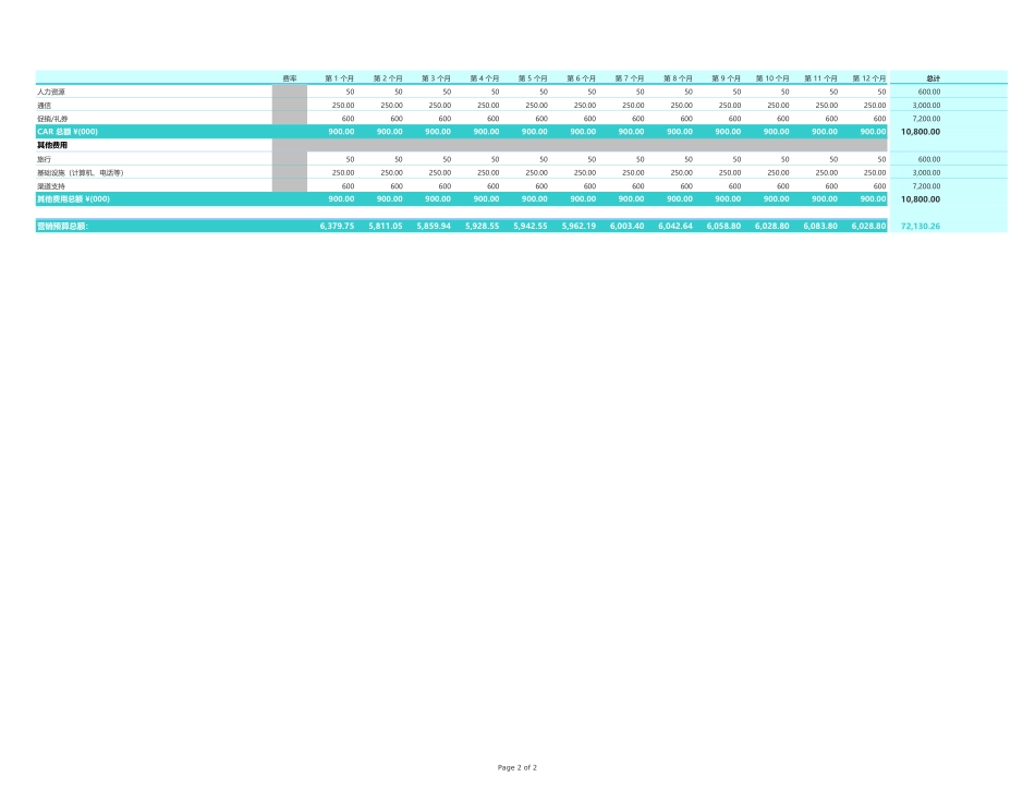 渠道市场营销预算表_第2页