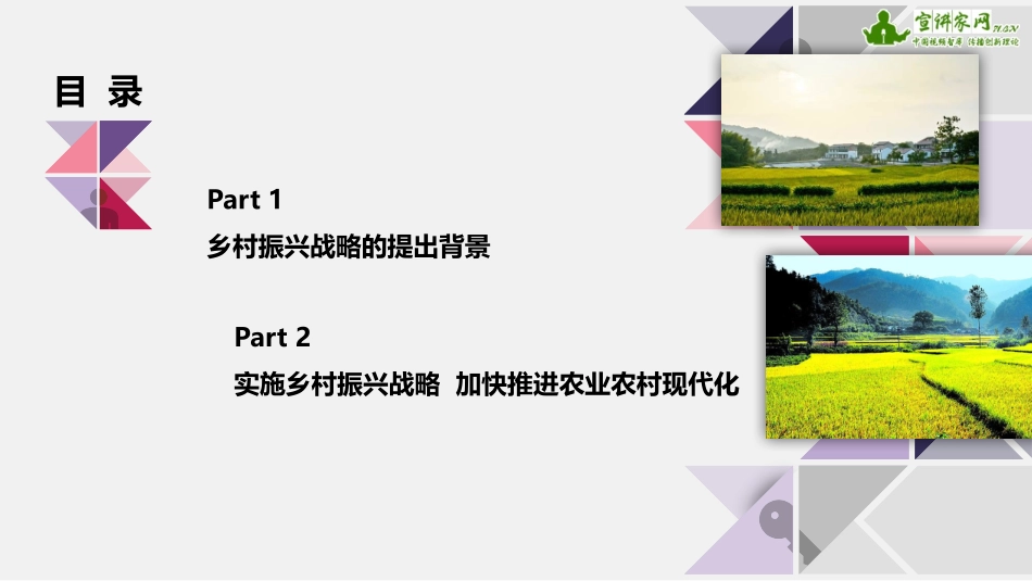 孔祥智：大力实施乡村振兴战略 开创新时代“三农”工作新局面_第2页