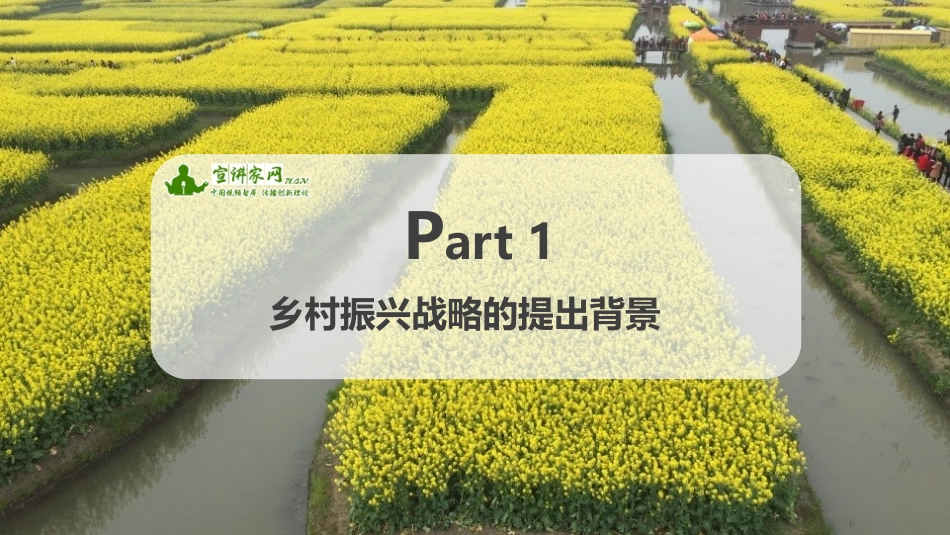 孔祥智：大力实施乡村振兴战略 开创新时代“三农”工作新局面_第3页