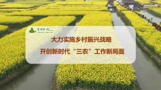 孔祥智：大力实施乡村振兴战略 开创新时代“三农”工作新局面