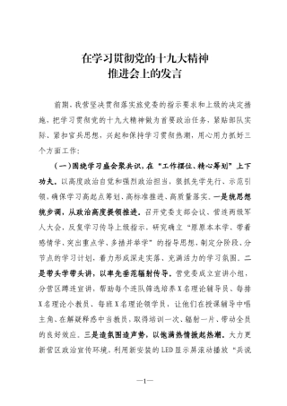 十九大推进会发言