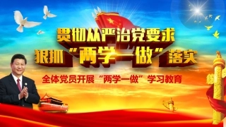 两学一做动态PPT (11)