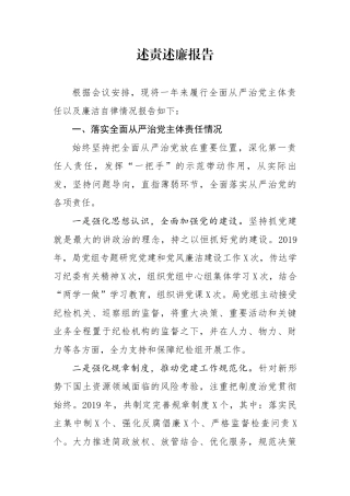 分享述责述廉报告