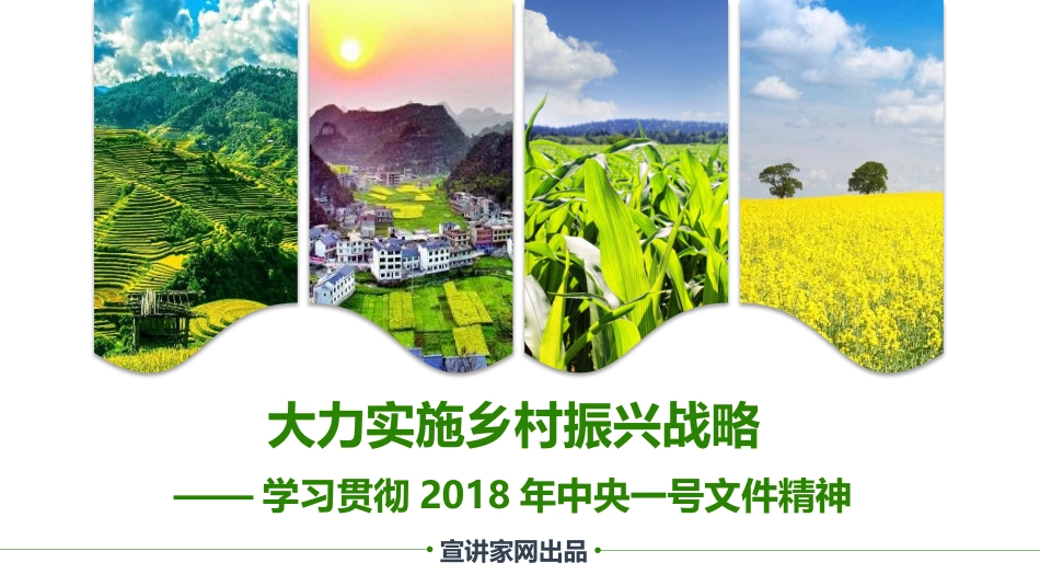 宋洪远：大力实施乡村振兴战略——学习贯彻2018年中央一号文件精神_第1页
