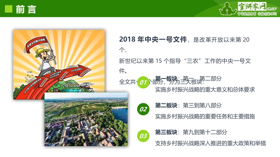 宋洪远：大力实施乡村振兴战略——学习贯彻2018年中央一号文件精神_第3页