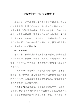 分享主题教育班子检视剖析材料