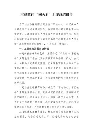 分享主题教育回头看工作总结报告