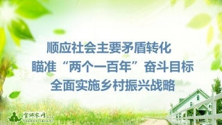 王忠海：顺应社会主要矛盾转化 瞄准“两个一百年”奋斗目标 全面实施乡村振兴战略