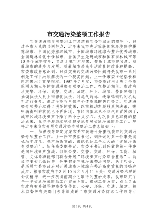 2024年市交通污染整顿工作报告