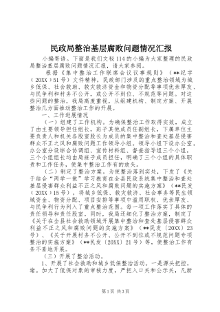 2024年民政局整治基层腐败问题情况汇报