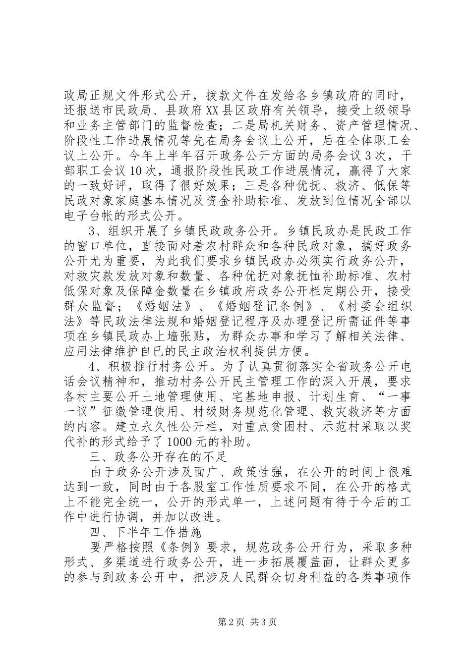 2024年民政局政务公开上半年工作总结_第2页